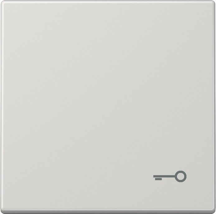 Wippe Symbol TÜR lgr LS 990 T LG