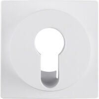 Zentralstück pws 15071909