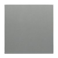 Wippe 1-fach 6735 BT-803