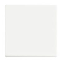 Wippe 1-fach 6735 BT-884
