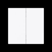 Wippe 2-fach Smart Switch 6736 FoH-44G