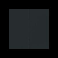 Wippe 2-fach Smart Switch 6736 FoH-45M