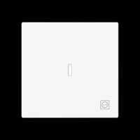 Wippe mit Symbol Stecker 1789 ST-44G