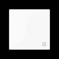 Wippe mit Symbol Stecker 1789 ST-44M