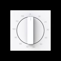 Zentralscheibe 1771-44G-103