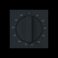 Zentralscheibe 1771-45M-103
