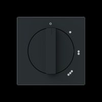 Zentralscheibe 2542 DR/01-45M