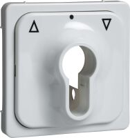 Zentralplatte rw 203034