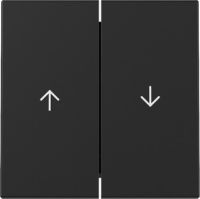 Wippe  3294005 2-fach Pfeil schwarz matt - neue Generation