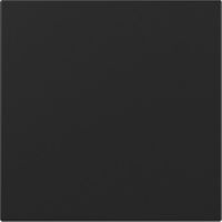 Wippe 3496005 gerade schwarz matt - neue Generation