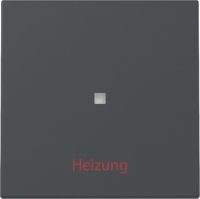 Wippe 367828 Kontrollf. + Heizung anthrazit - neue Generation