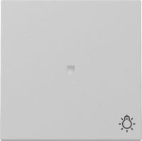 Wippe 3674015 Kontrollf. + Symb. grau Matt - neue Generation