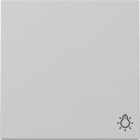 Wippe 3285015 Symb. Licht grau matt - neue Generation