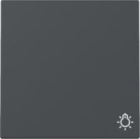 Wippe 328528 Symb. Licht anthrazit - neue Generation