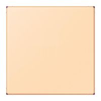 Abdeckung f. USB-Ladegerät LC 1969 USB 223