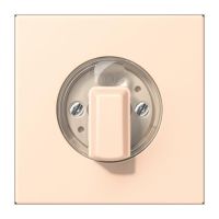 Abdeckung für Drehschalter LC 1941 238