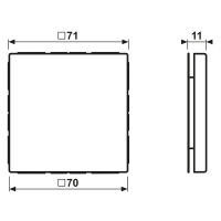 Blind-Abdeckung (gerastet) LC 994 B 222