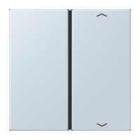 Taste 1fach m. Pfeilsymb. LC 401 TSAP 209