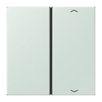 Taste 1fach m. Pfeilsymb. LC 401 TSAP 215