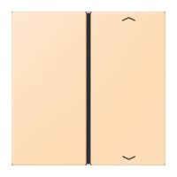 Taste 1fach m. Pfeilsymb. LC 401 TSAP 223