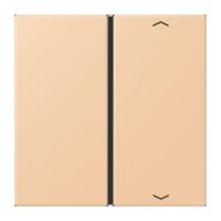 Taste 1fach m. Pfeilsymb. LC 401 TSAP 237