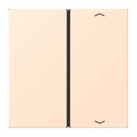 Taste 1fach m. Pfeilsymb. LC 401 TSAP 238