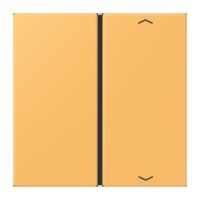 Taste 1fach m. Pfeilsymb. LC 401 TSAP 254