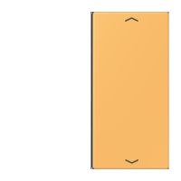 Taste 2fach m. Pfeilsymb. LC 402 TSAP 254