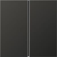 Tastensatz 1-fach anth AL 2401 TSA AN