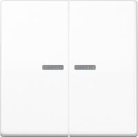 Wippe Lichtleiter aws AS 591-5 KO5BF WW