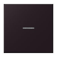 Wippe mit Lichtleiter LC 101 KO5 248