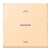 Wippe mit Lichtleiter LC 101 KO5P 223