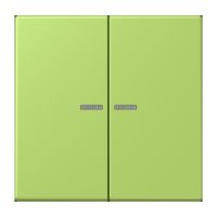 Wippe mit Lichtleiter LC 102 KO5 221