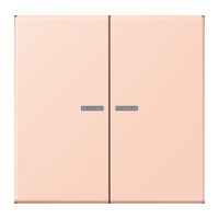 Wippe mit Lichtleiter LC 102 KO5 234