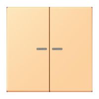 Wippe mit Lichtleiter LC 102 KO5 258