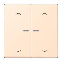 Wippe mit Lichtleiter LC 102 KO5P 238