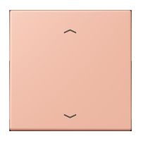 Wippe mit Pfeilsymbolen LC 101P 231