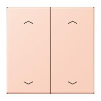 Wippe mit Pfeilsymbolen LC 102 P 234