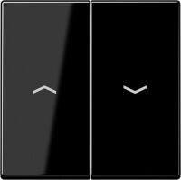 Wippe Symbole Pfeile 2-f A 595 BF P SW