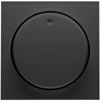 Abdeckung Dimmer D 11.810.193 HR