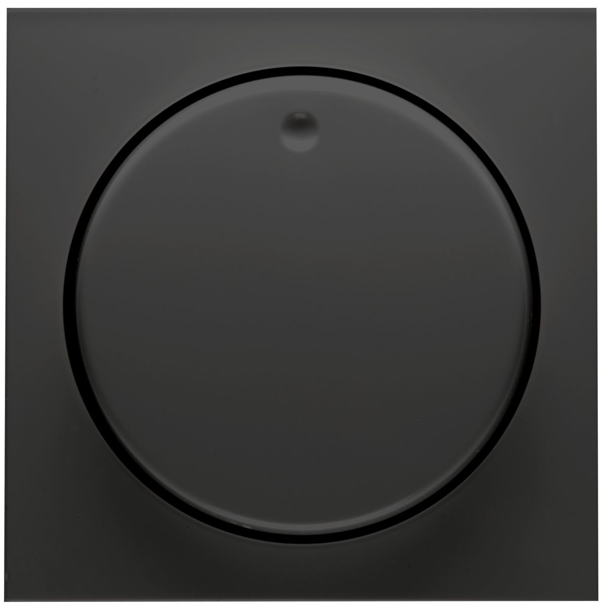 Abdeckung Dimmer D 11.810.193 HR