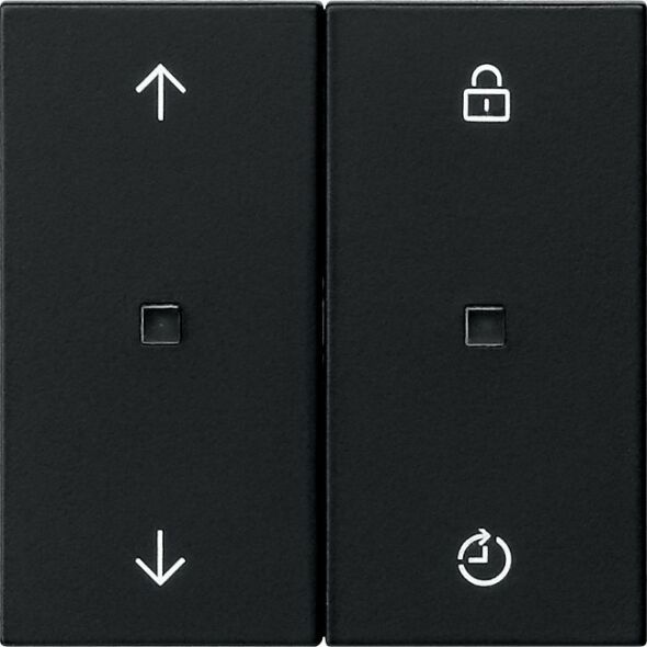 Funk-Bedienaufsatz 5492005 schwarz matt