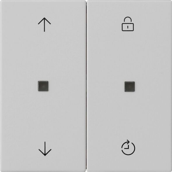 Funk-Bedienaufsatz 5492015 grau matt