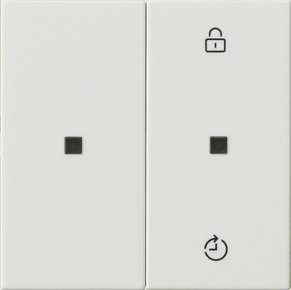 Funk-Bedienaufsatz 549303 reinweiß glänzend 