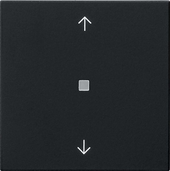 Funk-Bedienaufsatz 5494005 schwarz matt