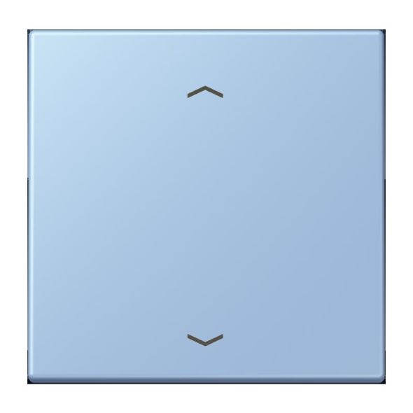 LB-Management Taster 1fach LC 1700 P 207