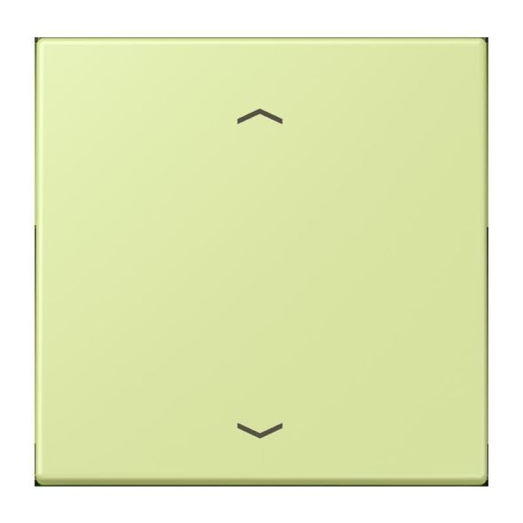 LB-Management Taster 1fach LC 1700 P 222