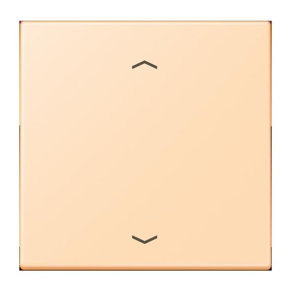 LB-Management Taster 1fach LC 1700 P 223