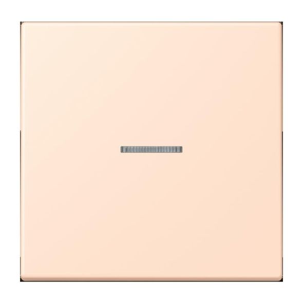 Taster 1fach BT LC 17101 228