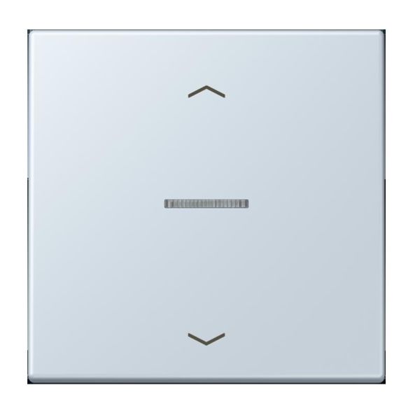 Taster 1fach BT LC 17101 P 209